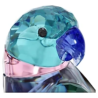 Jungle Beats Parakeet Couple Fife & Fifer by SWAROVSKI