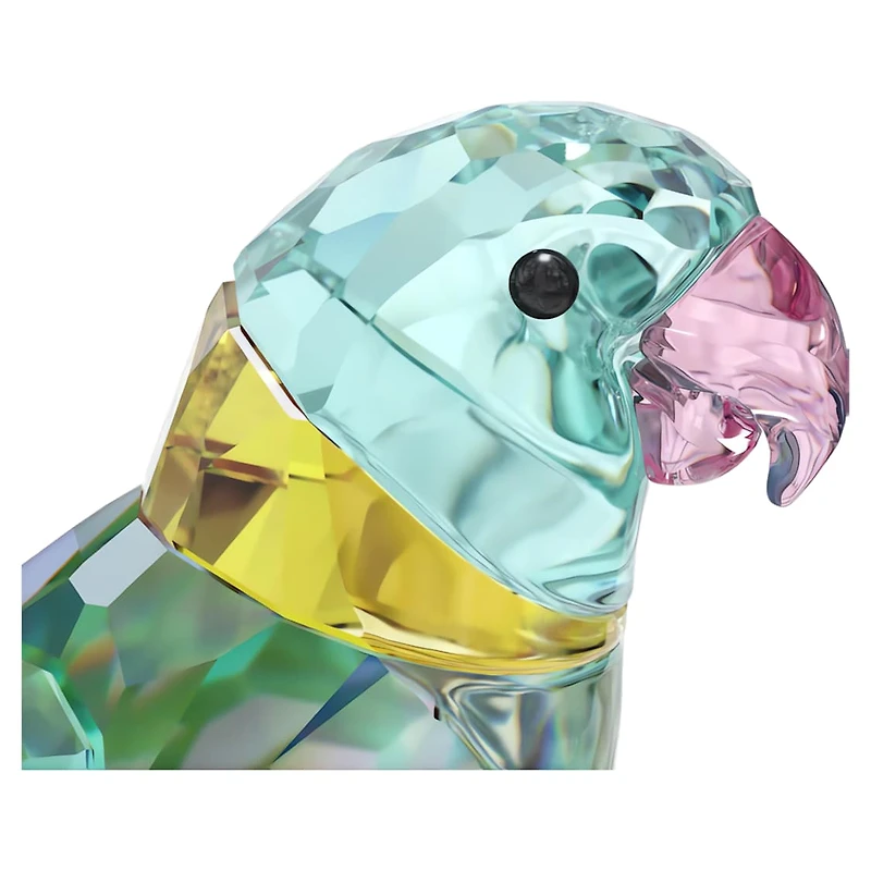 Jungle Beats Parakeet Couple Fife & Fifer by SWAROVSKI