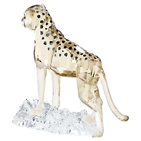 Elegance of Africa SCS Cheetah Baby Jabari by SWAROVSKI