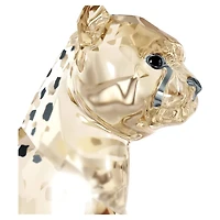 Elegance of Africa SCS Cheetah Baby Jabari by SWAROVSKI