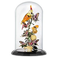 Idyllia Birds and Butterflies Bell Jar by SWAROVSKI