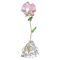 Florere Rose by SWAROVSKI