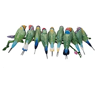Crystal Myriad Gouldian Finches by SWAROVSKI