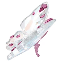 Idyllia Butterfly, Small by SWAROVSKI