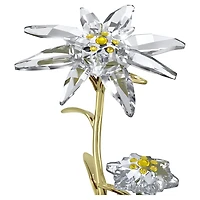 Florere 130th Anniversary Bell Jar by SWAROVSKI