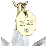 Annual Edition 3D Ornament Set 2025 by SWAROVSKI