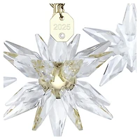 Annual Edition 3D Ornament Set 2025 by SWAROVSKI