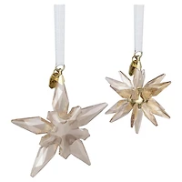 Annual Edition Festive 3D Ornament Set 2025 by SWAROVSKI