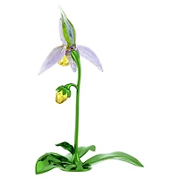 Florere Lady Slipper Orchid by SWAROVSKI