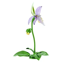 Florere Lady Slipper Orchid by SWAROVSKI