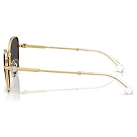 Sunglasses, Cat-eye shape, Gray by SWAROVSKI