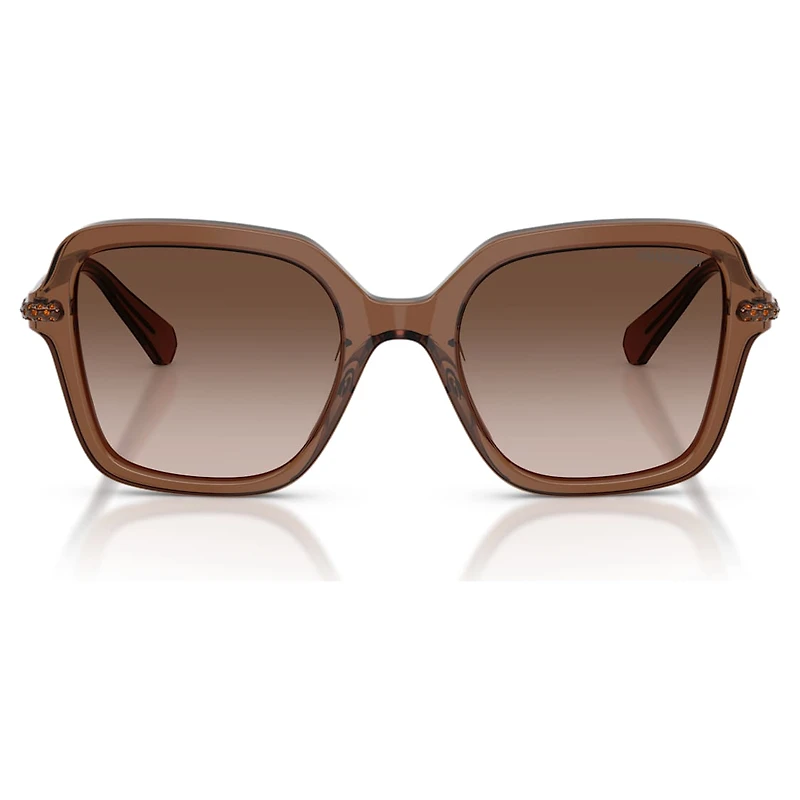 Sunglasses, Square shape, Brown by SWAROVSKI