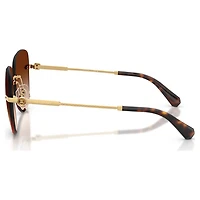 Sunglasses, Square shape, SK7043, Brown by SWAROVSKI