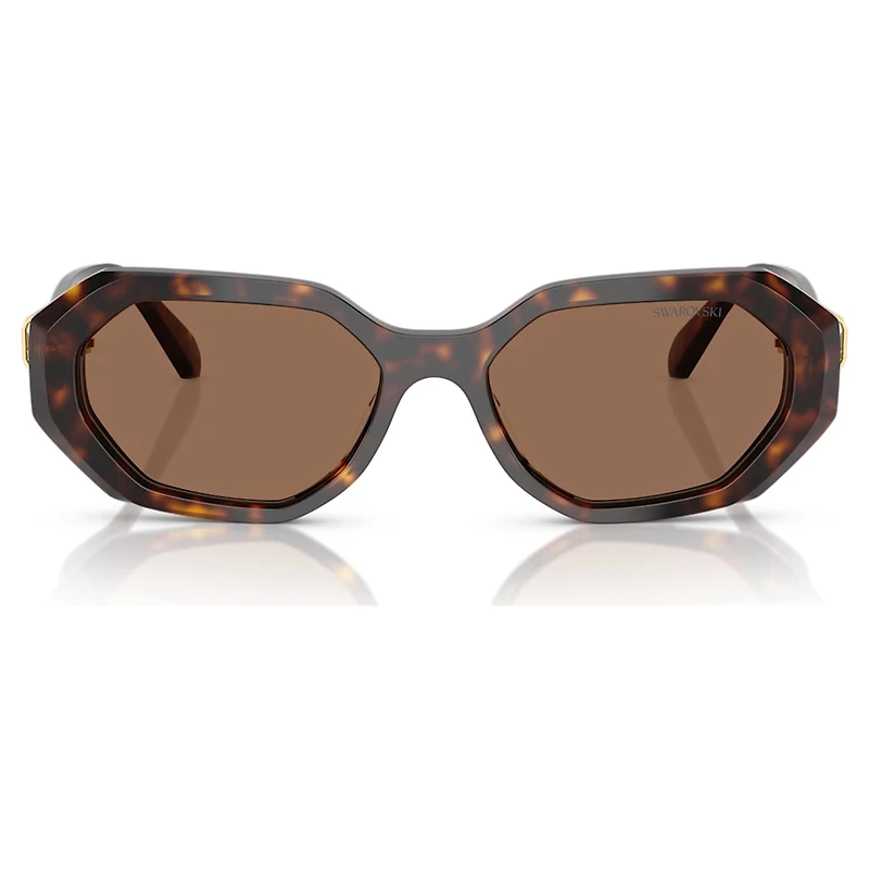 Sunglasses, Octagon shape, SK6028, Brown by SWAROVSKI