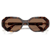 Sunglasses, Octagon shape, SK6028, Brown by SWAROVSKI