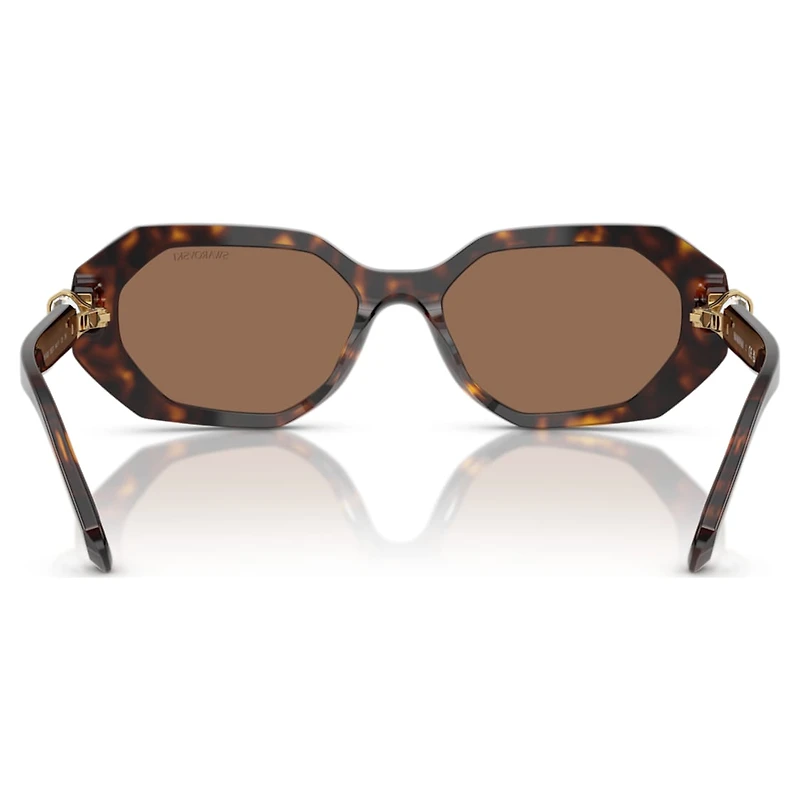 Sunglasses, Octagon shape, SK6028, Brown by SWAROVSKI