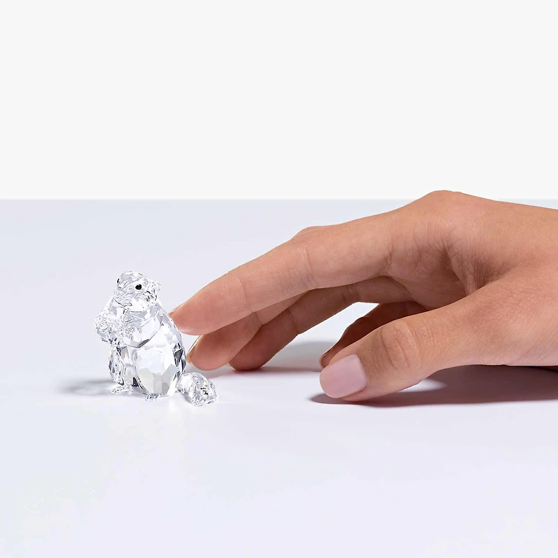 SCS Marmot (Event Piece 2020) by SWAROVSKI