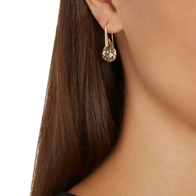 Energic drop earrings, Brown, Gold-tone plated