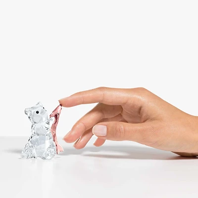 Rare Encounters Bear With Fish