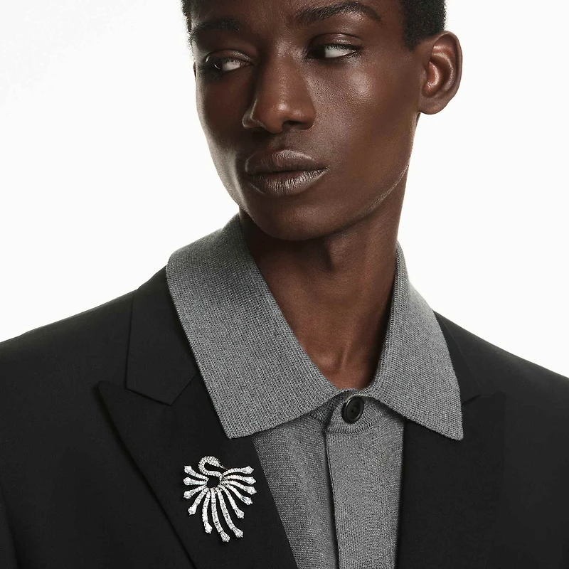 The Vienna Collection brooch, Swan, White, Ruthenium plated by SWAROVSKI