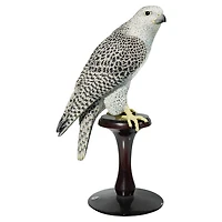 Kedari by SWAROVSKI