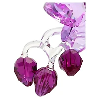 Crystal Flowers Orchid by SWAROVSKI