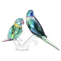 Jungle Beats Parakeet Couple Fife & Fifer by SWAROVSKI