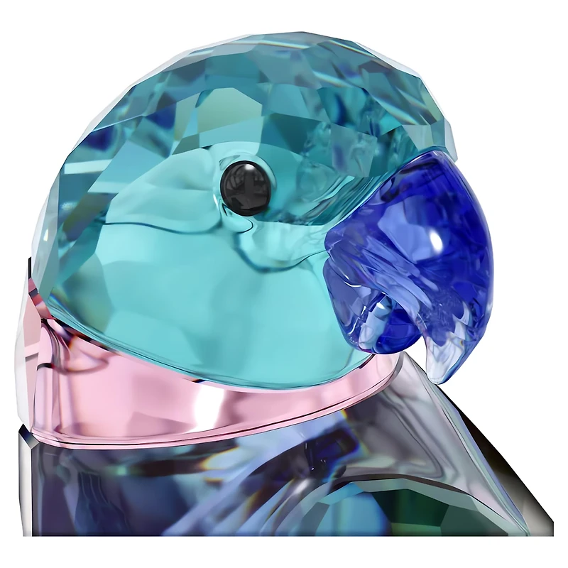 Jungle Beats Parakeet Couple Fife & Fifer by SWAROVSKI