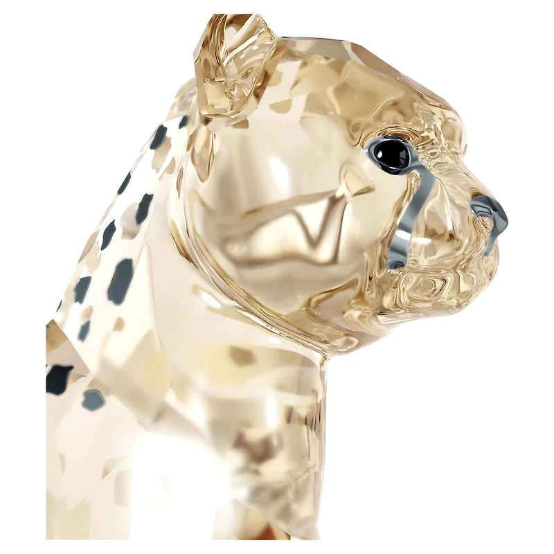 Elegance of Africa SCS Cheetah Baby Jabari by SWAROVSKI
