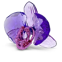Idyllia SCS Orchid Petal by SWAROVSKI