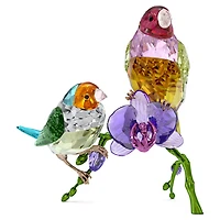 Idyllia SCS Annual Edition 2024 Gouldian Finches by SWAROVSKI