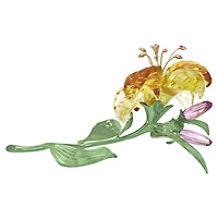 Florere Lily, Large by SWAROVSKI