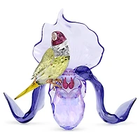 Idyllia Gouldian Finch and Orchid by SWAROVSKI