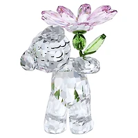 Kris Bear A Daisy for You by SWAROVSKI