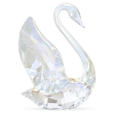 SCS Annual Edition Swan 2024
