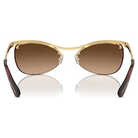 Sunglasses, Oval shape, SK7018, Brown by SWAROVSKI