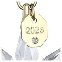 Annual Edition 3D Ornament Set 2025 by SWAROVSKI