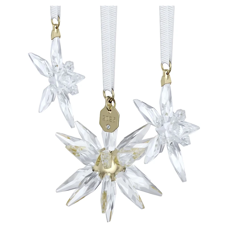 Annual Edition 3D Ornament Set 2025 by SWAROVSKI