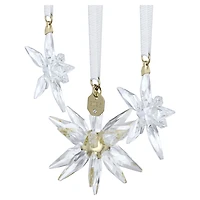 Annual Edition 3D Ornament Set 2025 by SWAROVSKI