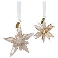 Annual Edition Festive 3D Ornament Set 2025 by SWAROVSKI