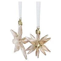 Annual Edition Festive 3D Ornament Set 2025 by SWAROVSKI