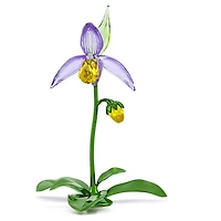 Florere Lady Slipper Orchid by SWAROVSKI