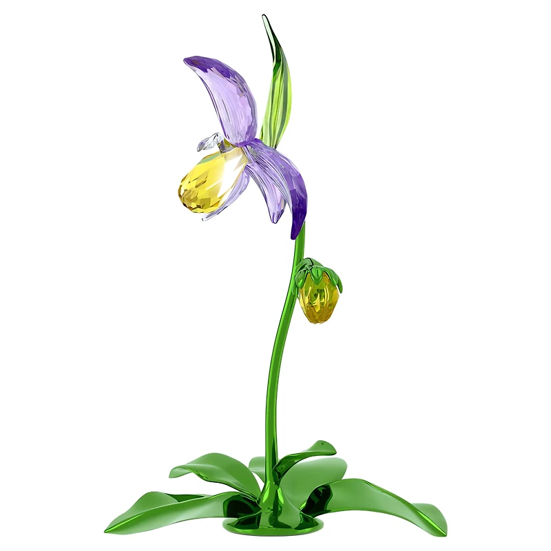Florere Lady Slipper Orchid by SWAROVSKI