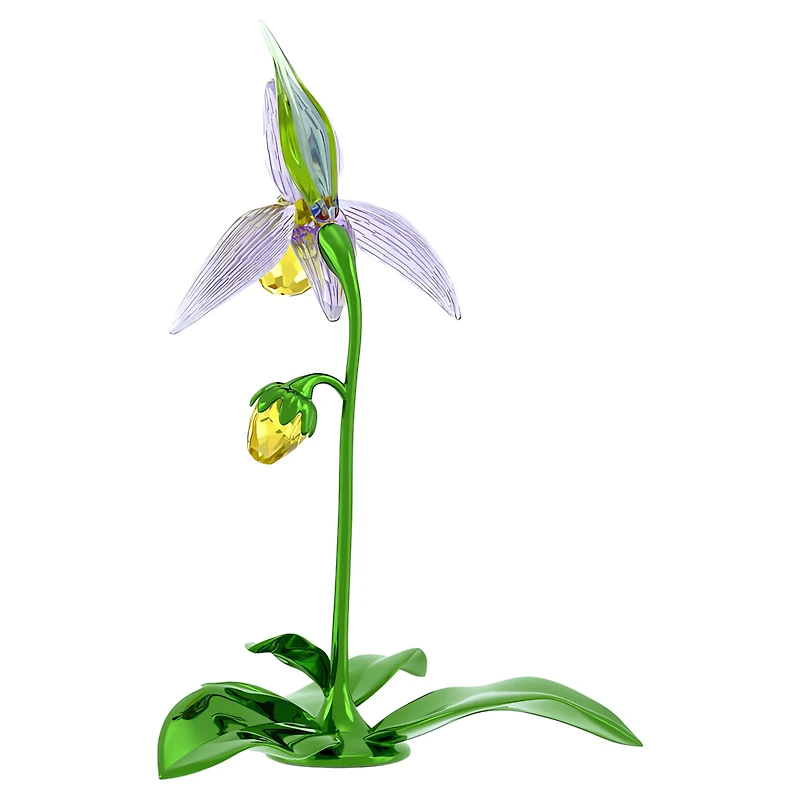 Florere Lady Slipper Orchid by SWAROVSKI