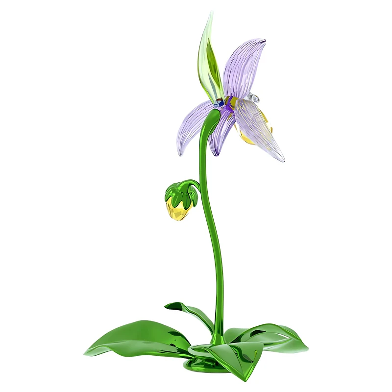 Florere Lady Slipper Orchid by SWAROVSKI