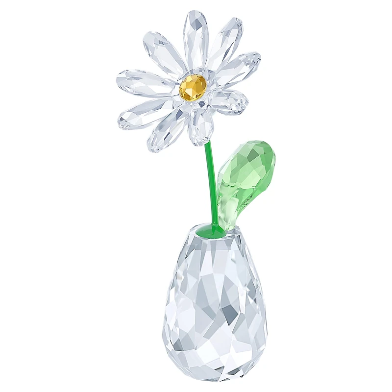 Flower Dreams Daisy by SWAROVSKI