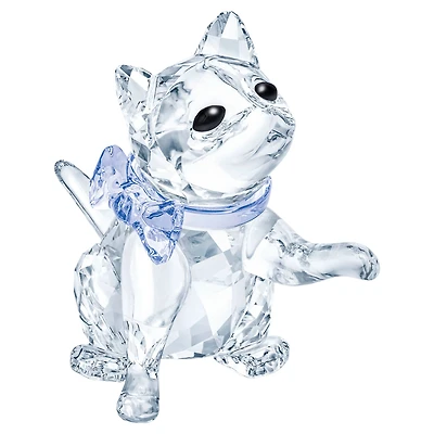 Peaceful Countryside Kitten