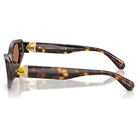 Sunglasses, Cat-eye shape, SK6045, Brown by SWAROVSKI
