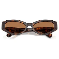 Sunglasses, Cat-eye shape, SK6045, Brown by SWAROVSKI