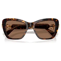 Sunglasses, Cat-Eye shape, SK6018, Brown by SWAROVSKI